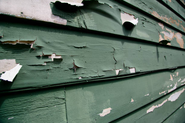 Best Storm Damage Siding Repair  in Pennington, NJ