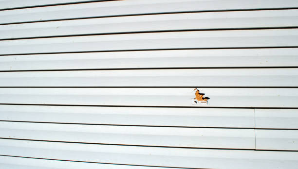 Best Storm Damage Siding Repair  in Pennington, NJ