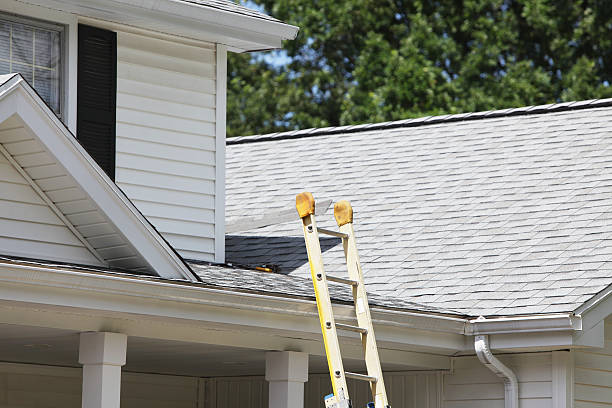 Best Custom Trim and Detailing for Siding  in Pennington, NJ
